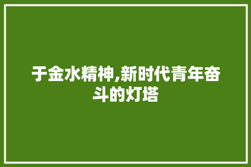 于金水精神,新时代青年奋斗的灯塔