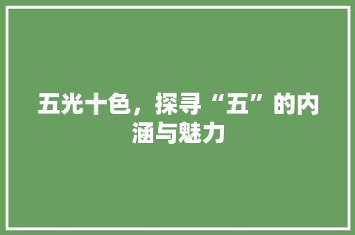 五光十色，探寻“五”的内涵与魅力