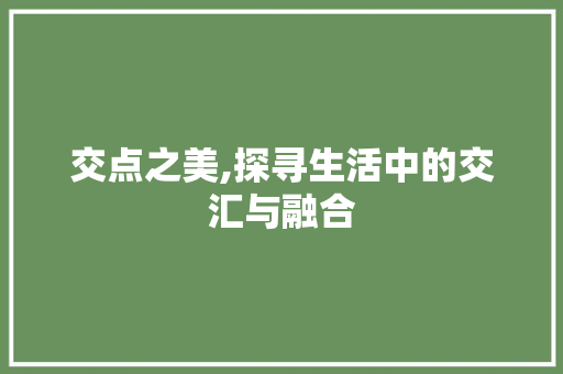 交点之美,探寻生活中的交汇与融合