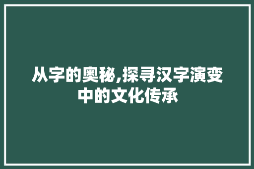 从字的奥秘,探寻汉字演变中的文化传承