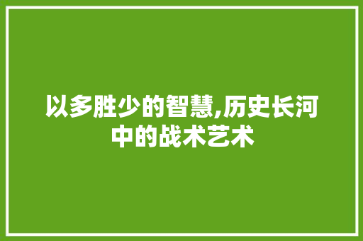 以多胜少的智慧,历史长河中的战术艺术