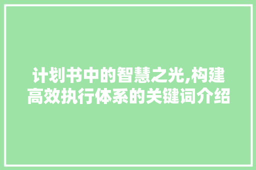 计划书中的智慧之光,构建高效执行体系的关键词介绍