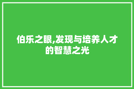 伯乐之眼,发现与培养人才的智慧之光