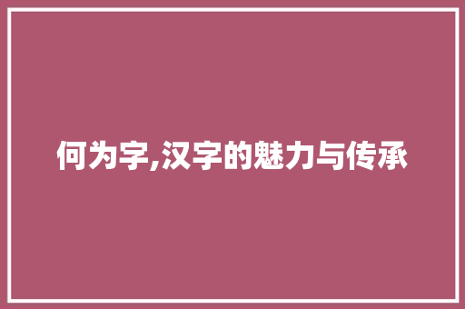 何为字,汉字的魅力与传承