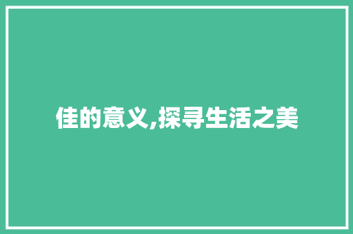 佳的意义,探寻生活之美