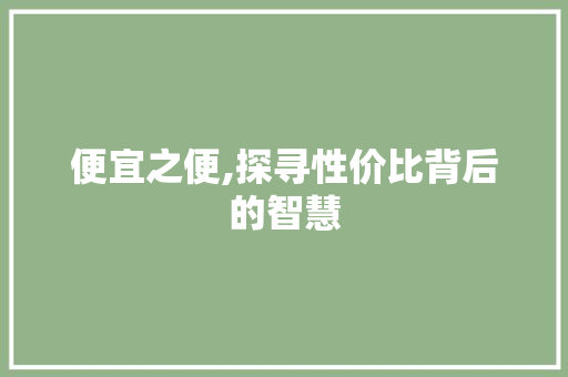 便宜之便,探寻性价比背后的智慧