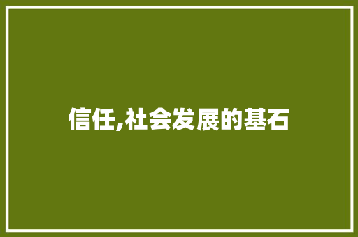 信任,社会发展的基石