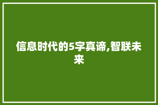 信息时代的5字真谛,智联未来