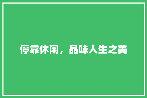 停靠休闲，品味人生之美
