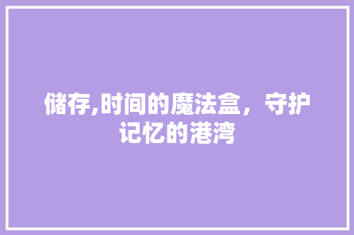 储存,时间的魔法盒，守护记忆的港湾