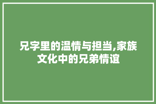 兄字里的温情与担当,家族文化中的兄弟情谊