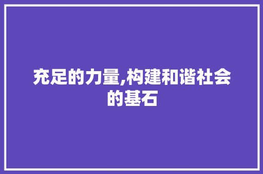 充足的力量,构建和谐社会的基石