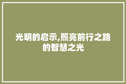 光明的启示,照亮前行之路的智慧之光