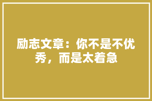 2025新mpacc学校排名2017