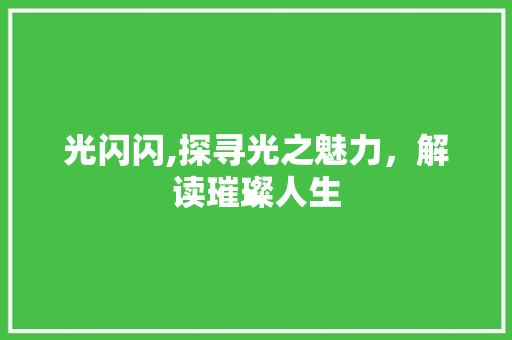 光闪闪,探寻光之魅力，解读璀璨人生