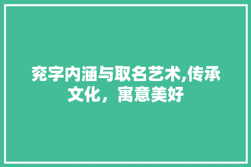 兖字内涵与取名艺术,传承文化，寓意美好