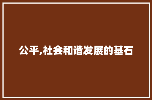 公平,社会和谐发展的基石