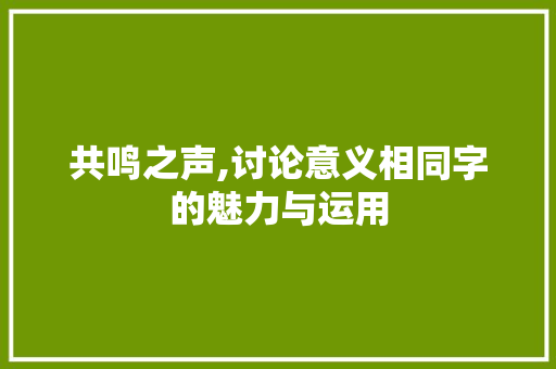 共鸣之声,讨论意义相同字的魅力与运用