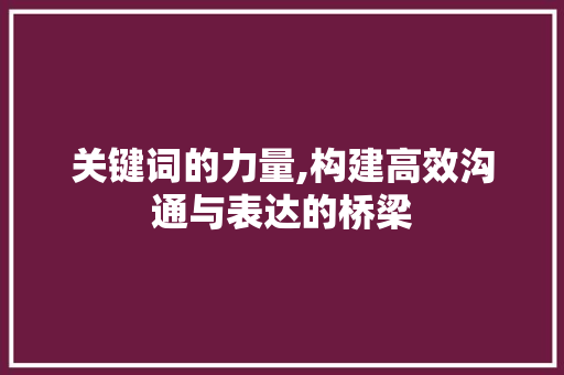 关键词的力量,构建高效沟通与表达的桥梁