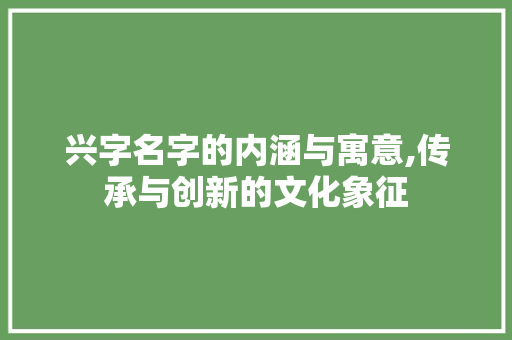 兴字名字的内涵与寓意,传承与创新的文化象征