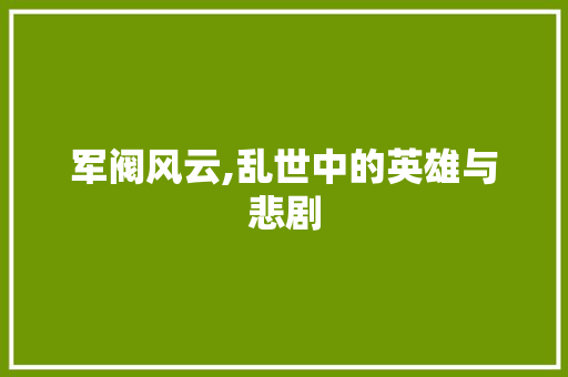 军阀风云,乱世中的英雄与悲剧