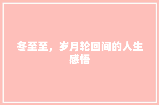 冬至至，岁月轮回间的人生感悟