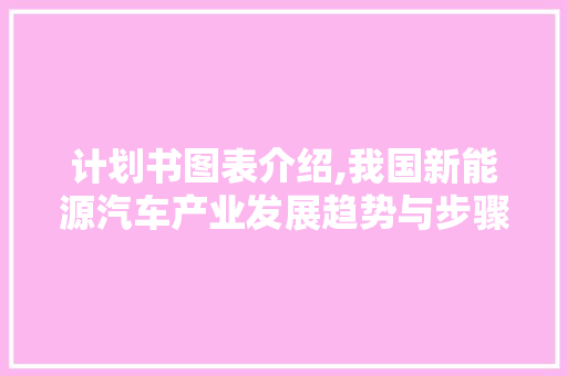 计划书图表介绍,我国新能源汽车产业发展趋势与步骤