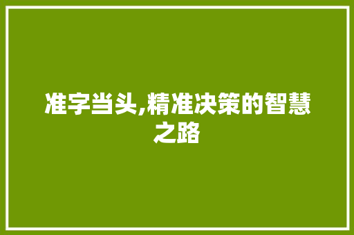 准字当头,精准决策的智慧之路