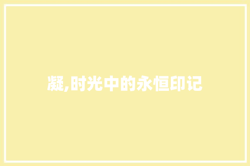 凝,时光中的永恒印记