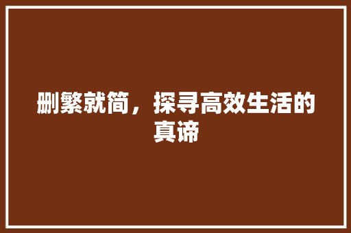 删繁就简，探寻高效生活的真谛