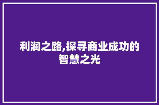 利润之路,探寻商业成功的智慧之光