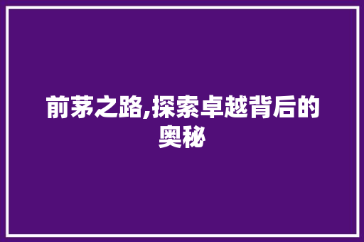 前茅之路,探索卓越背后的奥秘