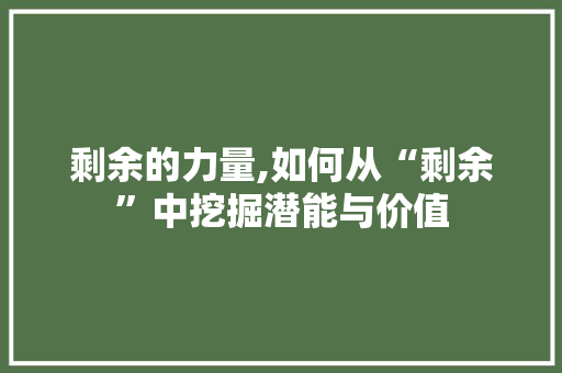 剩余的力量,如何从“剩余”中挖掘潜能与价值