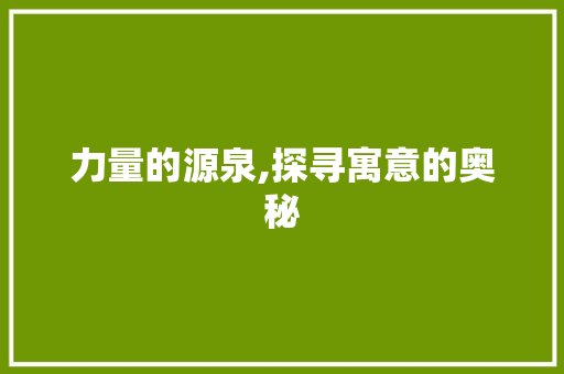 力量的源泉,探寻寓意的奥秘