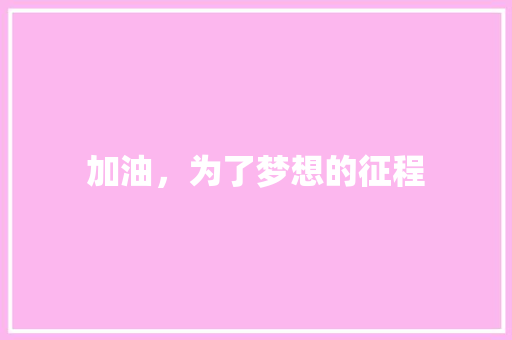 加油，为了梦想的征程