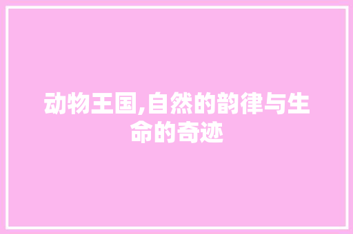 动物王国,自然的韵律与生命的奇迹