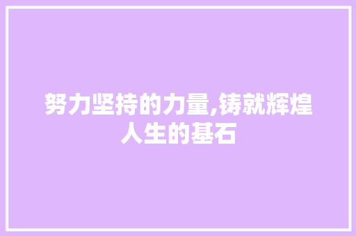 努力坚持的力量,铸就辉煌人生的基石