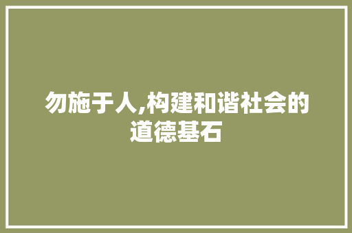 勿施于人,构建和谐社会的道德基石