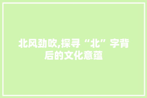 北风劲吹,探寻“北”字背后的文化意蕴
