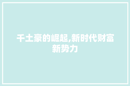 千土豪的崛起,新时代财富新势力