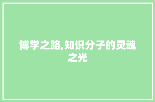 博学之路,知识分子的灵魂之光