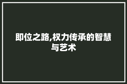 即位之路,权力传承的智慧与艺术