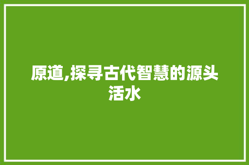 原道,探寻古代智慧的源头活水