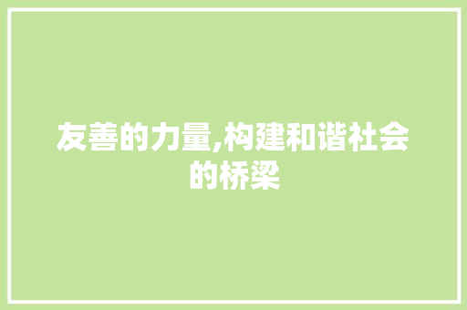 友善的力量,构建和谐社会的桥梁
