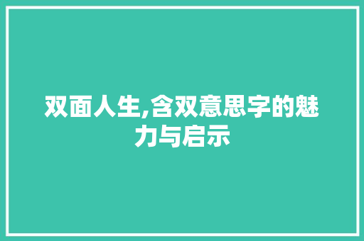双面人生,含双意思字的魅力与启示