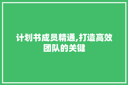计划书成员精通,打造高效团队的关键