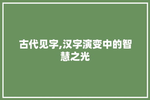 古代见字,汉字演变中的智慧之光
