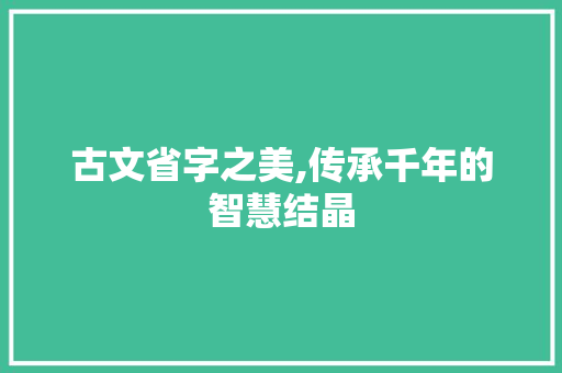 古文省字之美,传承千年的智慧结晶