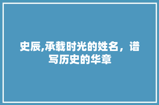 史辰,承载时光的姓名，谱写历史的华章