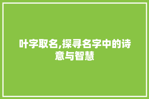 叶字取名,探寻名字中的诗意与智慧